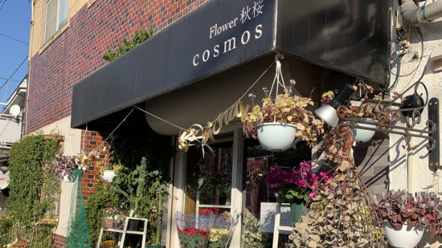 大切な人や自分へお花を贈ろう 大津市役所前 Flower秋桜 滋賀の花屋 しがジン 滋賀の情報発信マガジン 滋賀のママ目線で滋賀情報を発信