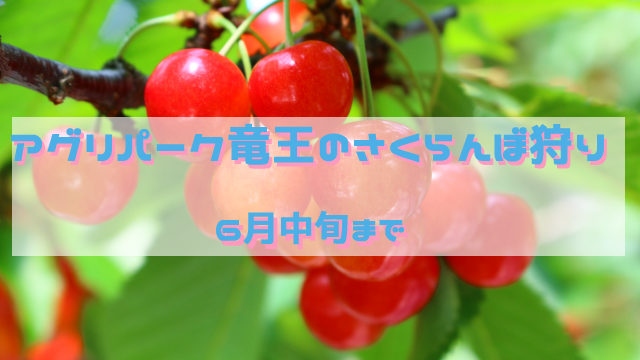 滋賀でさくらんぼ狩り 6月中旬まで アグリパーク竜王 しがジン 滋賀の情報発信マガジン 滋賀のママ目線で滋賀情報を発信